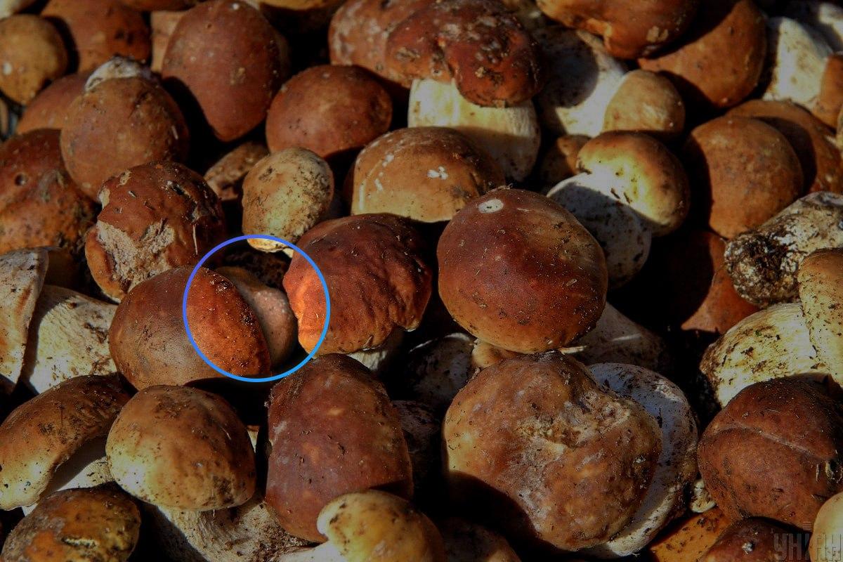 A pedra estava qe no centro da ilusão de ótica / colagem Moje