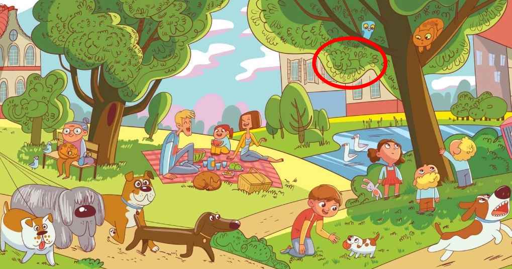 Esta é uma tarefa que só algumas pessoas conseguem fazer: tens de encontrar o leão no parque em 6 segundos