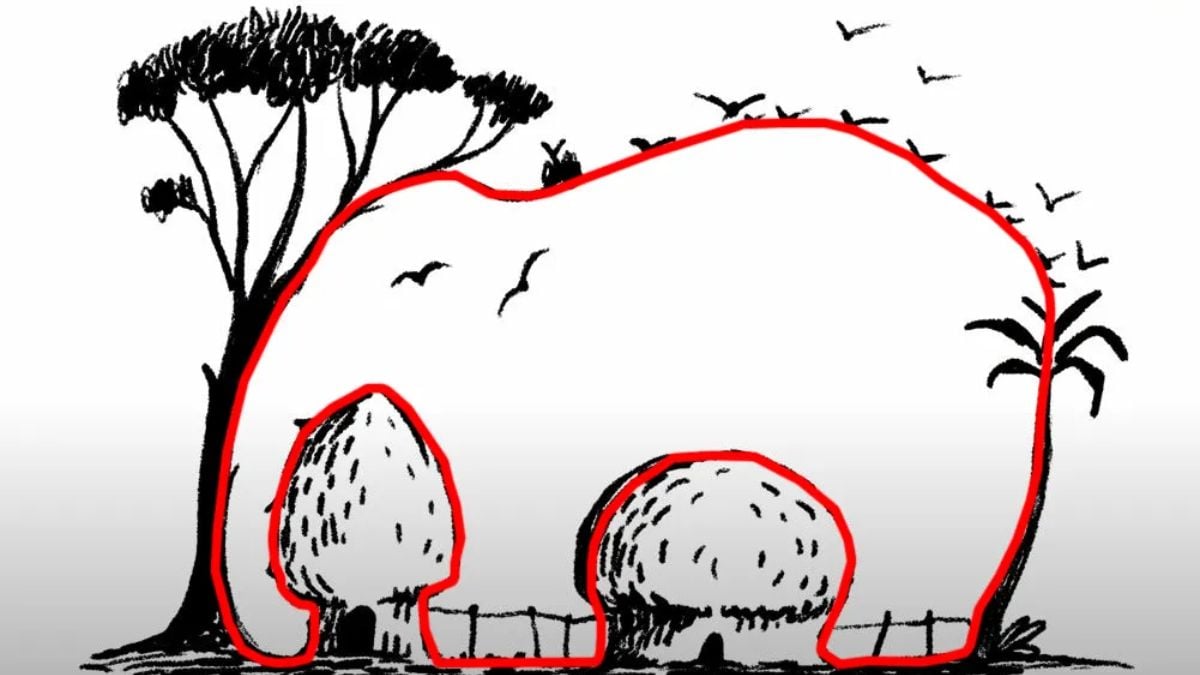 Solução para a ilusão de ótica